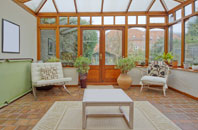 free White Ness conservatory quotes